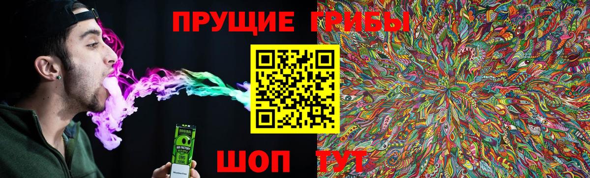 Конаково  Галлюциногенные грибы Magic Shrooms  где можно купить наркотик  Вход с VPN  Галлюциногенные грибы Psilocybine cubensis 