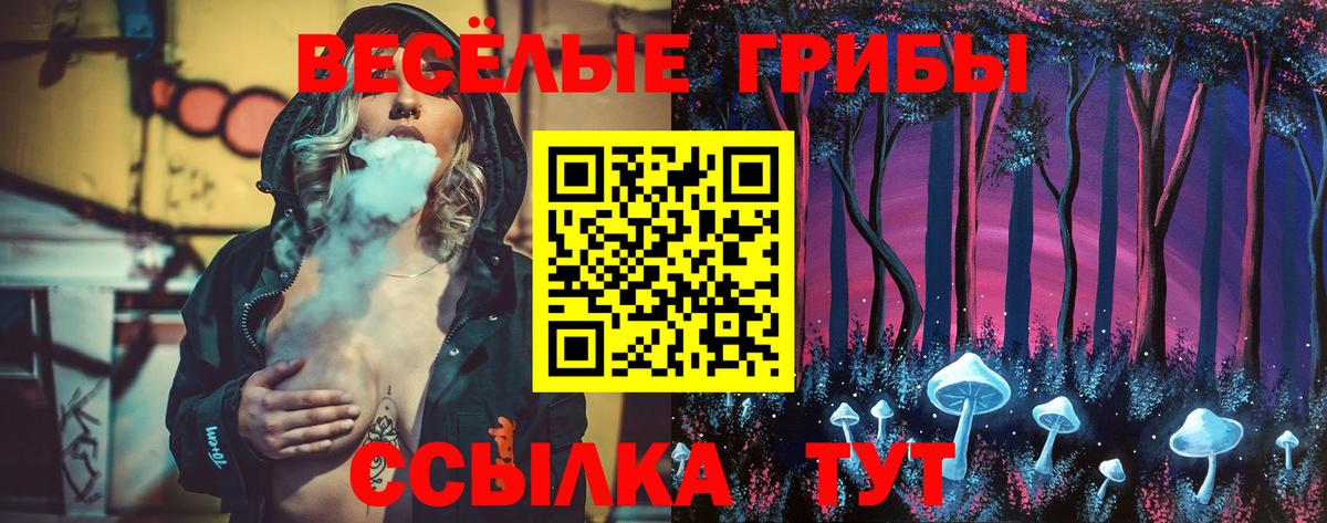 Галлюциногенные грибы Psilocybine cubensis Конаково
