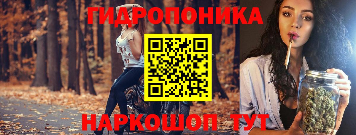 Конаково  Бошки Шишки план  Конопля White Widow  Канабис планчик  Вход с VPN  Марихуана сатива 
